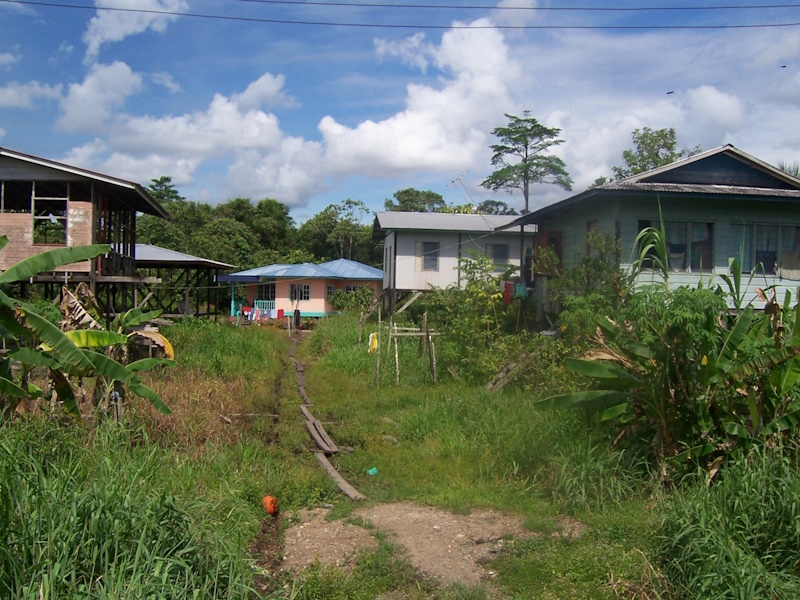 Image 09